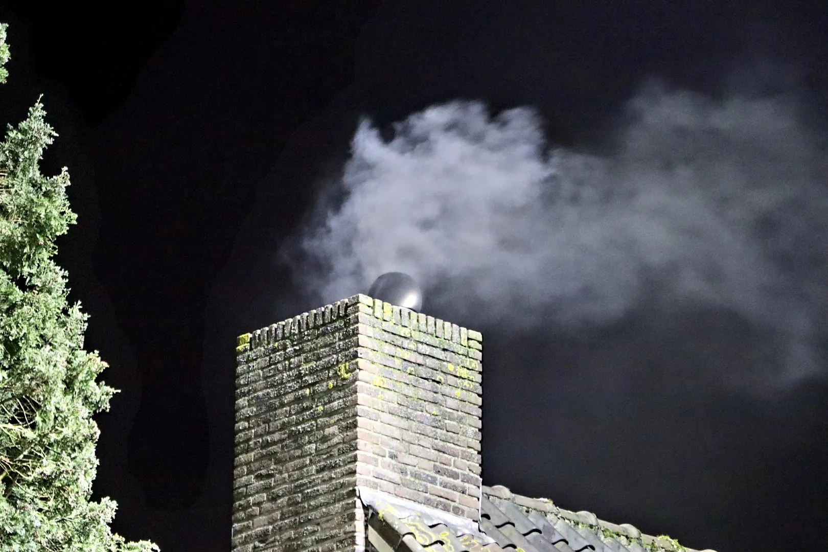 20240225203857 img 9078