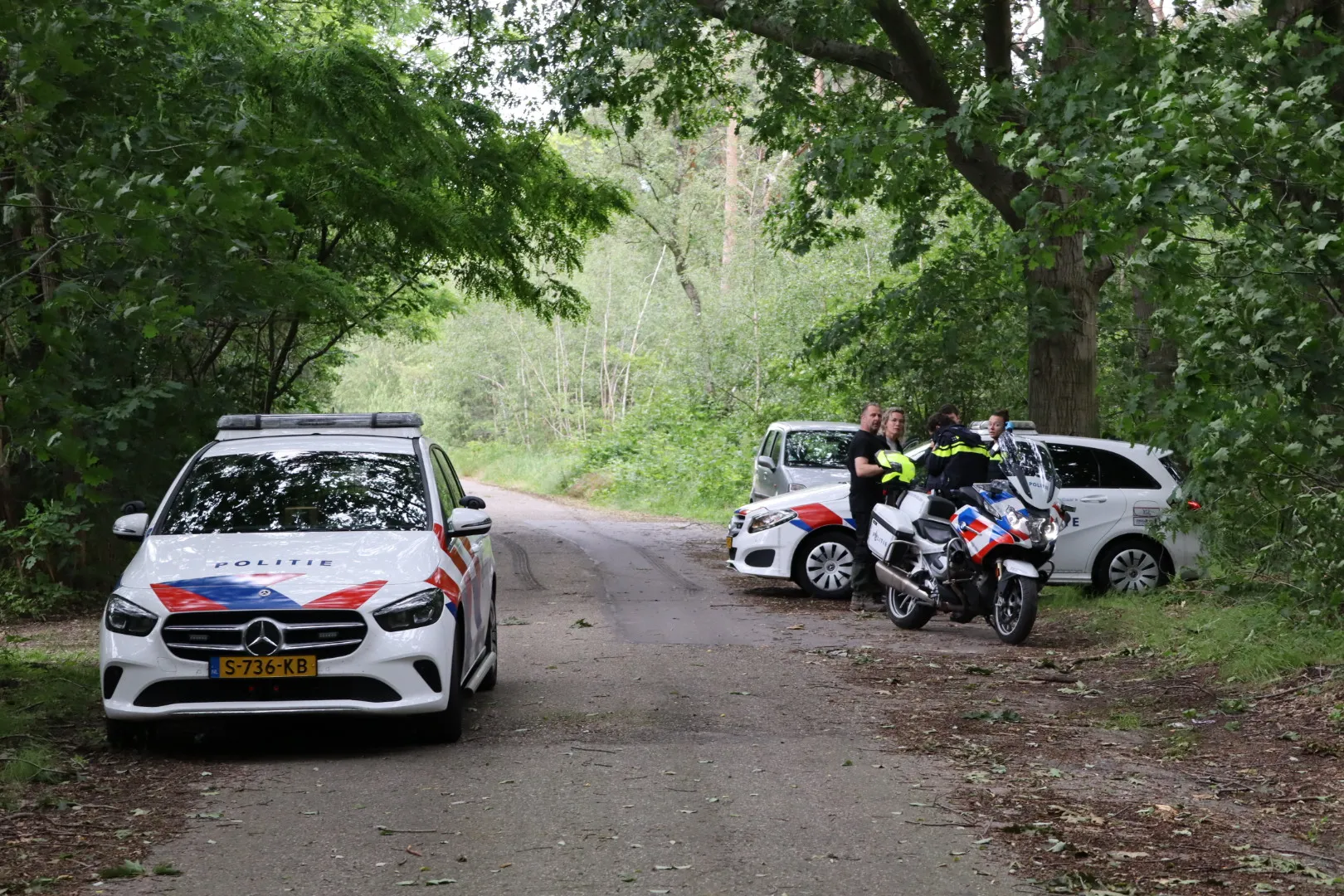 20240615165507 img 9685