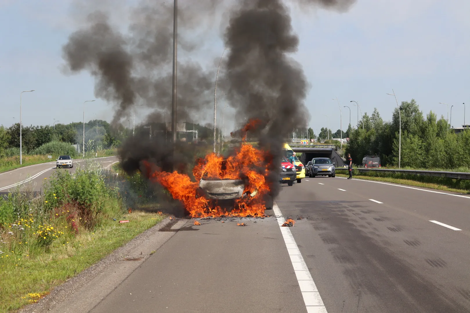 20240624090526 img 0285