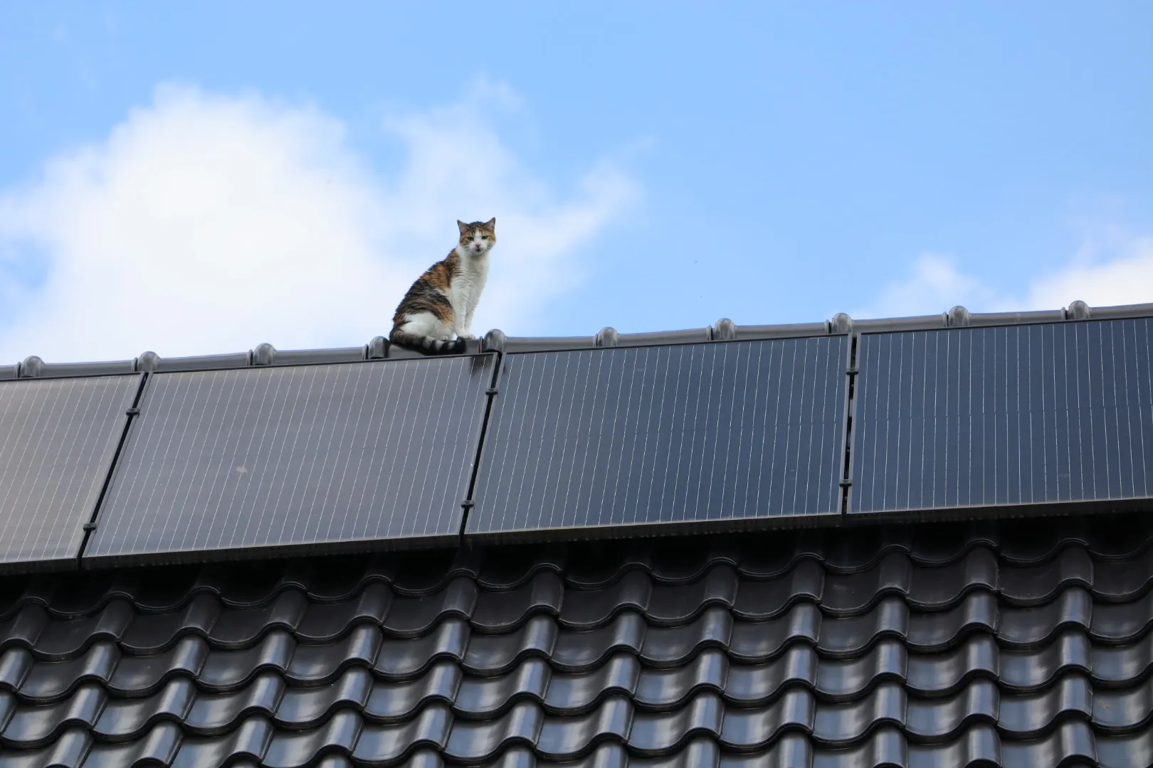 20240624120757 img 0375