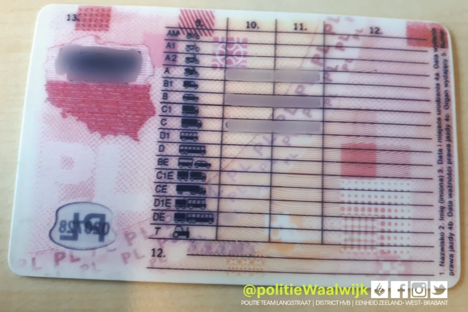 209121155 165533512274543 5939194145000810287 n