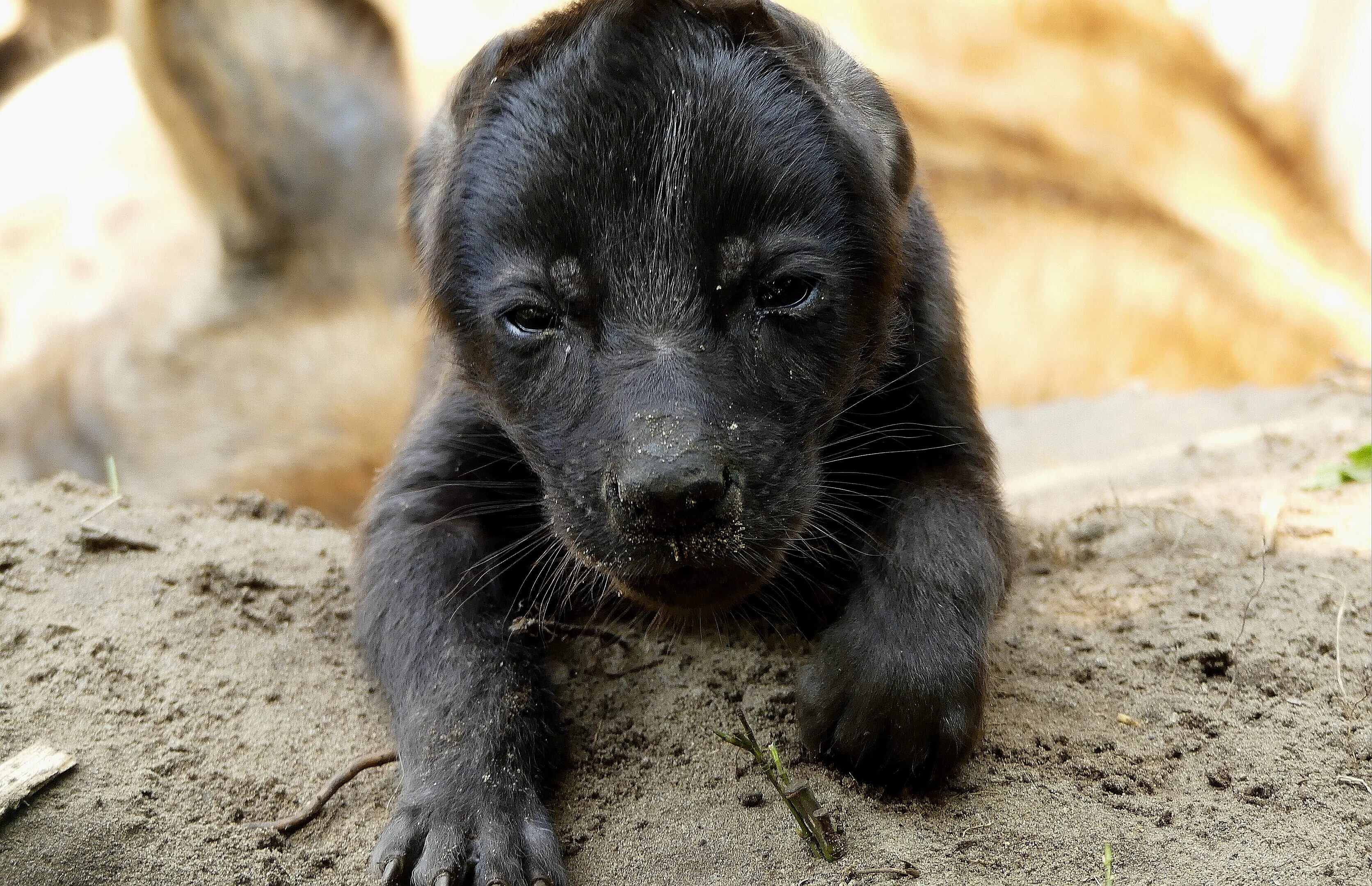 2154 7ac105e92a22acca9bfe916df415b395