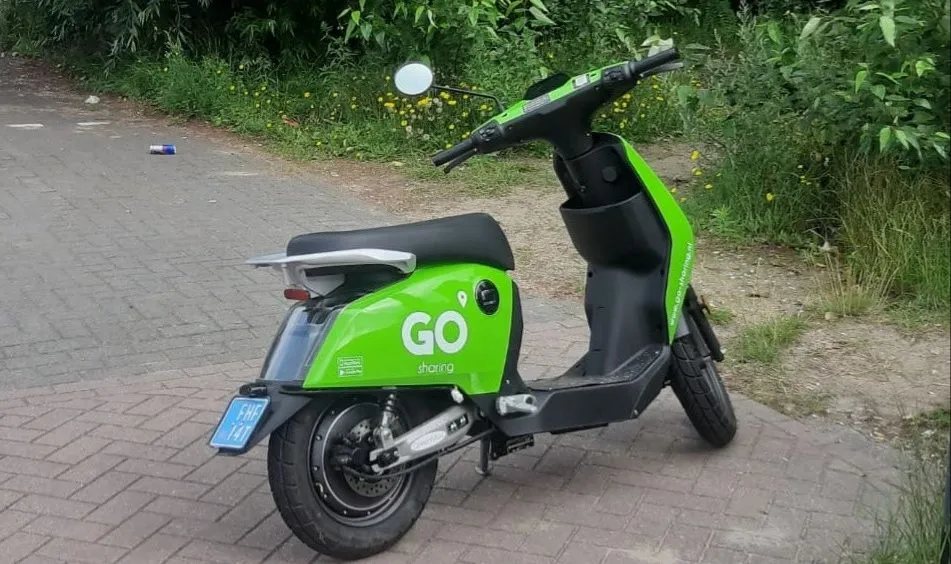 217412286 172127698281791 6220113818648893148 n