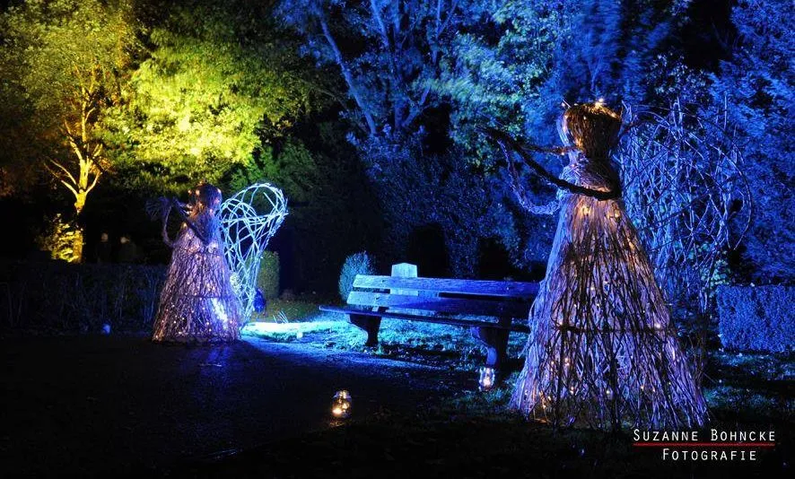 22491593 134763100507176 1329850390735984858 n