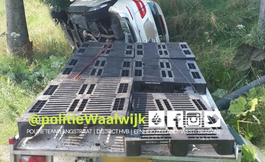 231020442 187480600079834 3745136602277149910 n