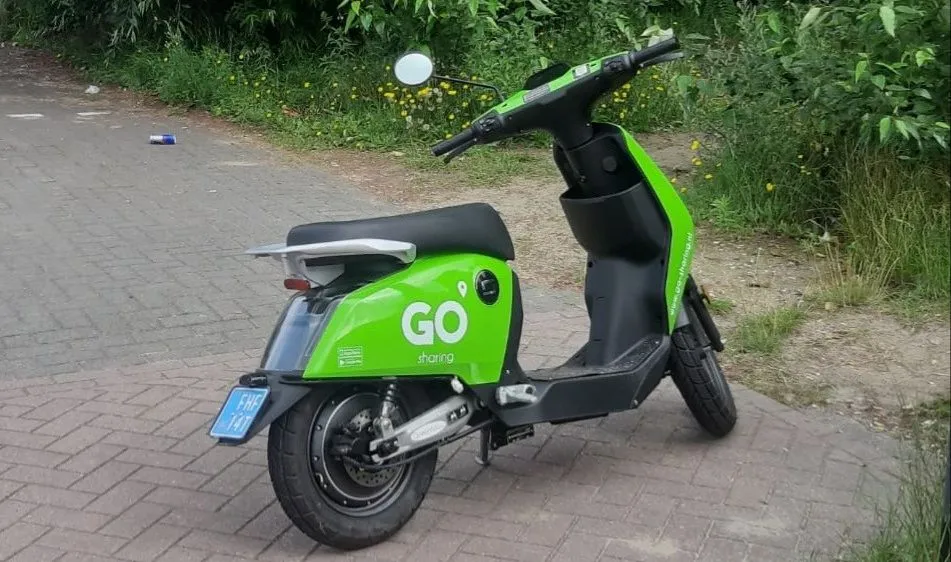 235588081 193428722818355 8910213167361863796 n