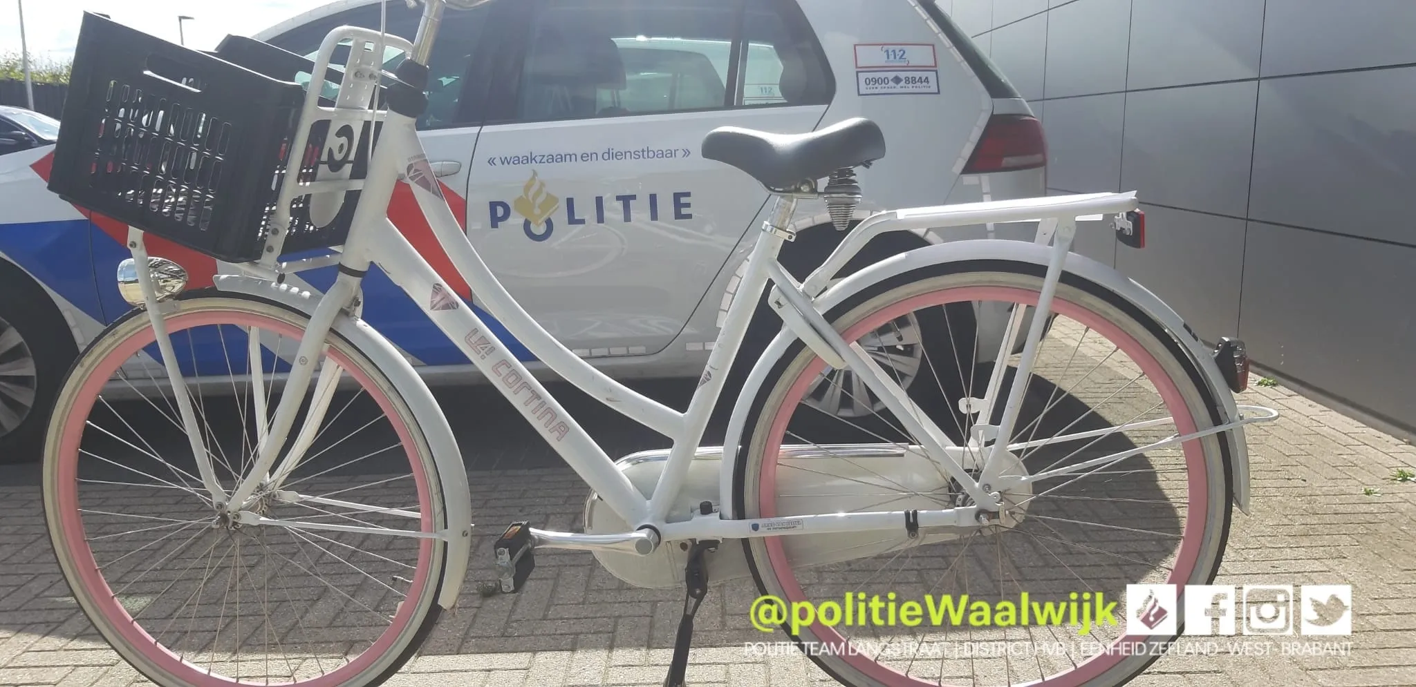 241976304 215486333945927 3477543459477719008 n