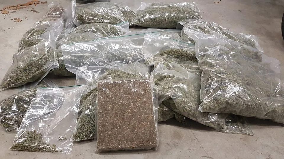 26907536 1934797776836430 2221104544499032585 n