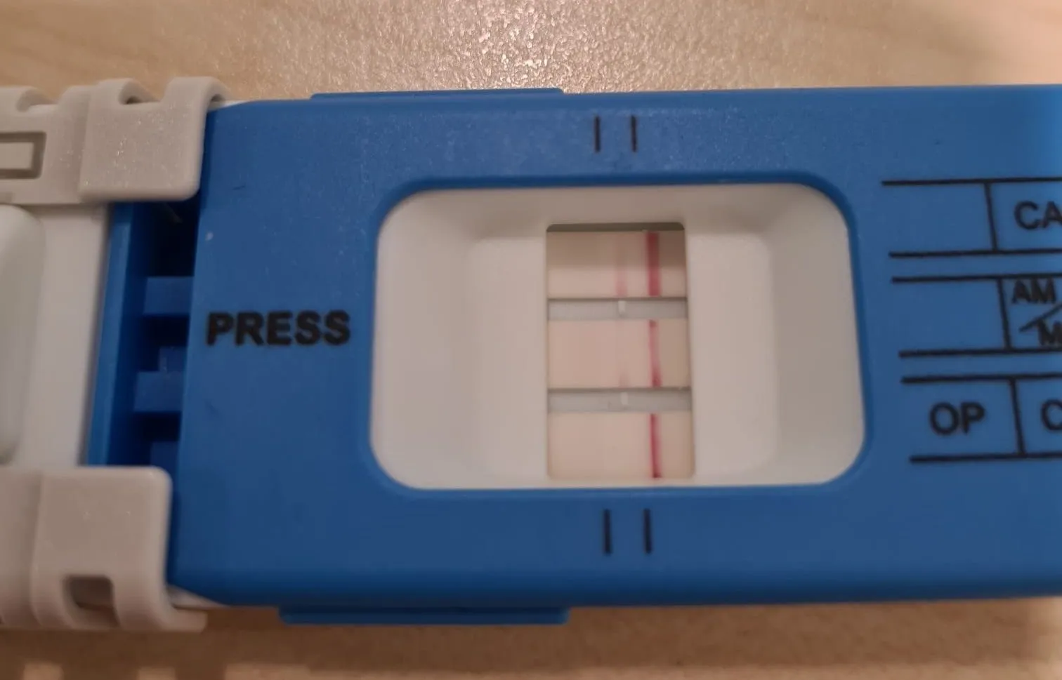 274917559 316224290538797 2161077282835510408 n