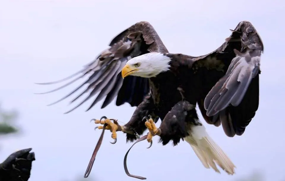 27858578 1871176142892374 5682247059164352690 n