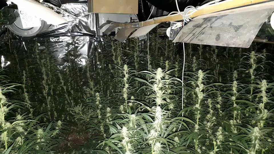 28168512 1952800248369516 3357114470317659653 n 1