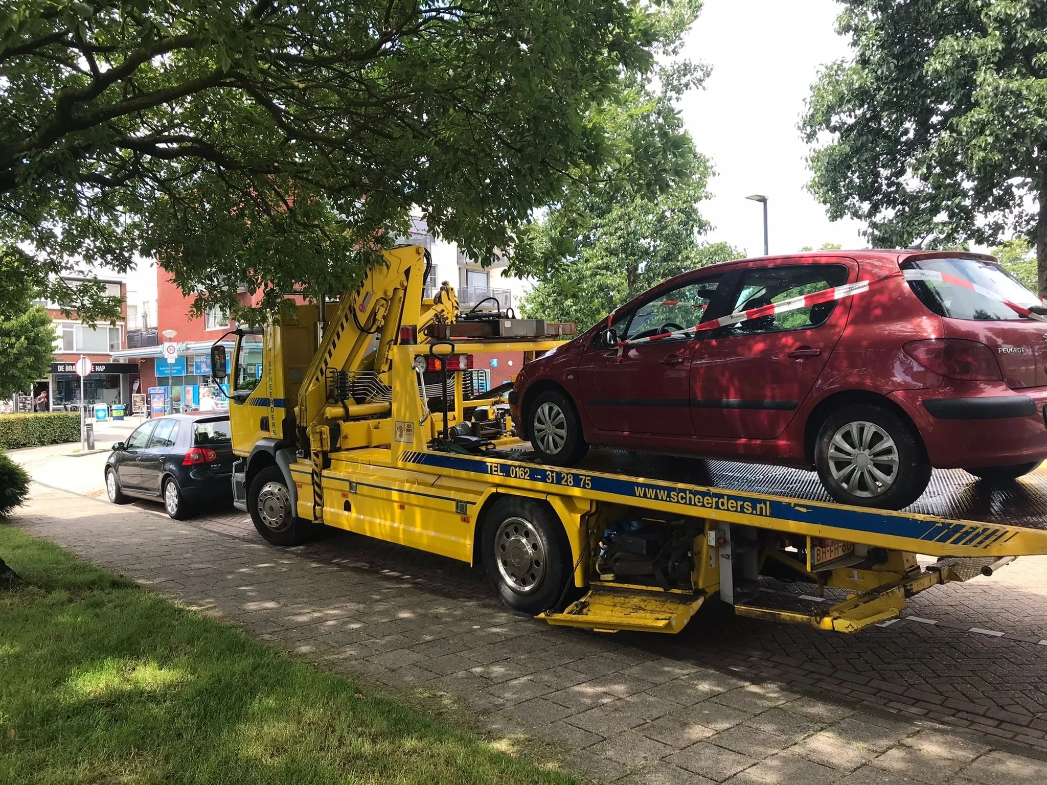 290303451 392739676220591 8609656205839532498 n