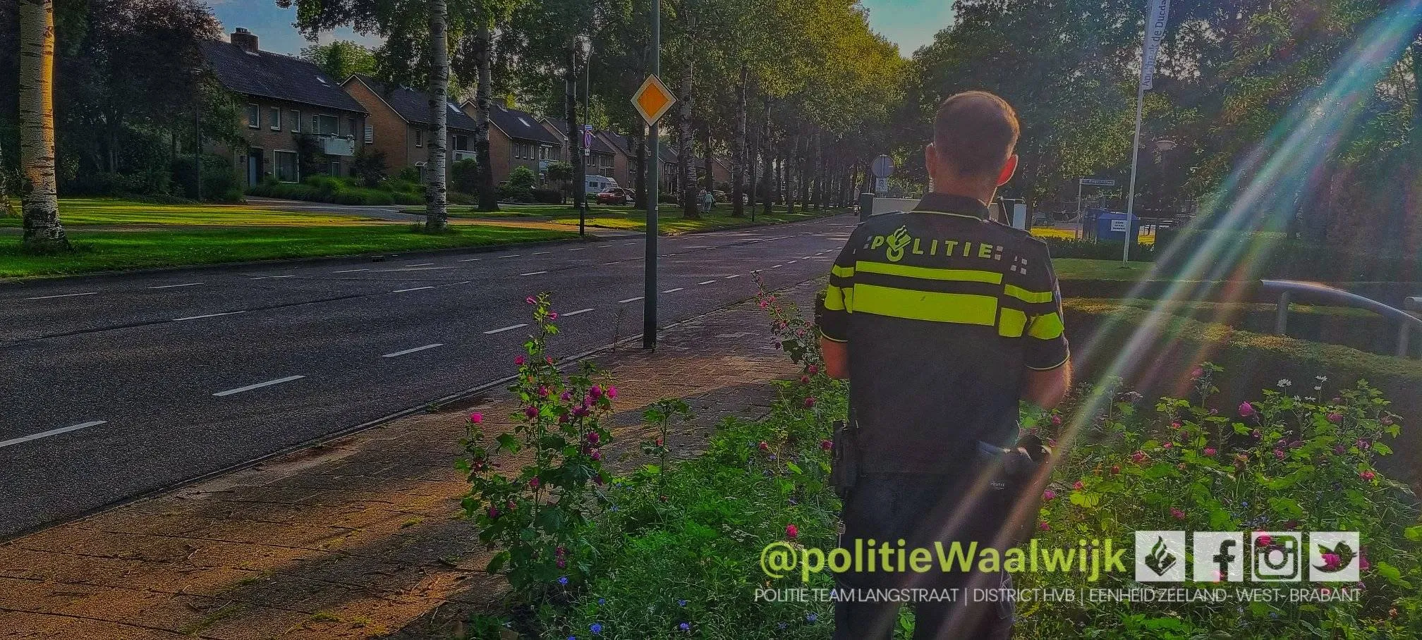 291506490 398085065686052 8744012954766729489 n