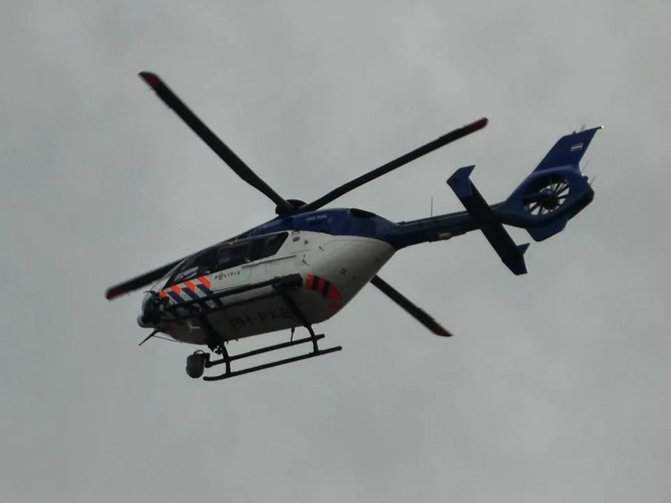 29598237 199476973988247 5174095182756933528 n