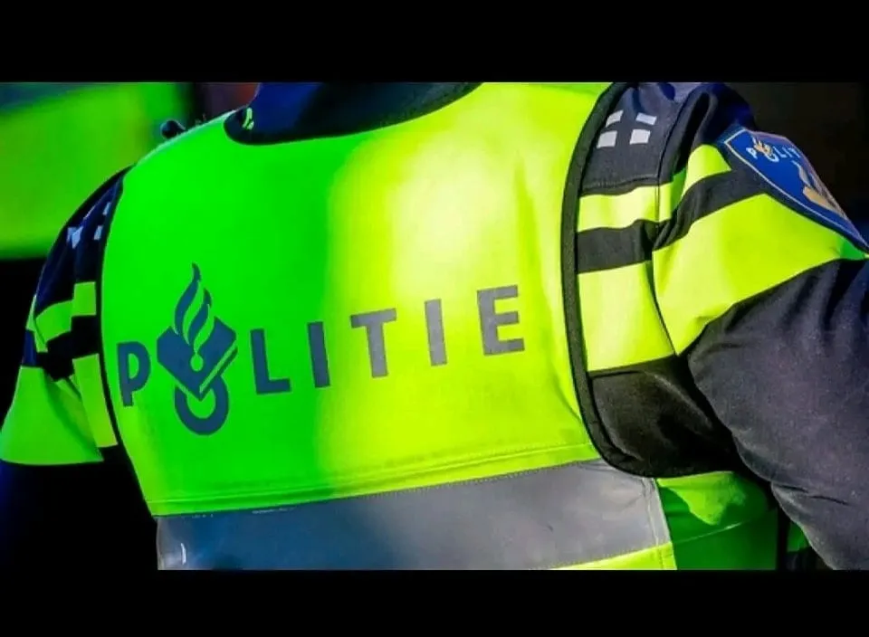 299830228 427715259389699 9084463675185781042 n