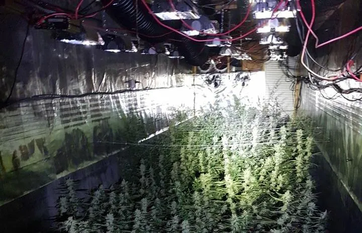 30412538 201238483812096 655381596706177024 n