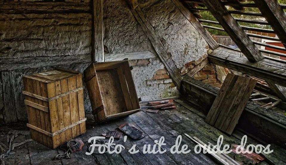 30706879 203764016892876 6368085749933277184 n