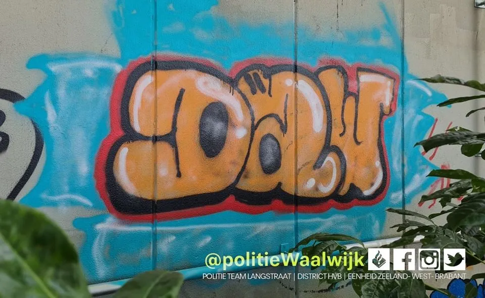 309163995 457290729765485 9145986337081757785 n