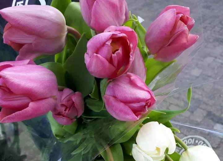 31317992 1500547660074068 1161291450973945856 n