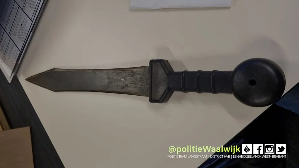 315751283 499948162166408 8965333984533569059 n