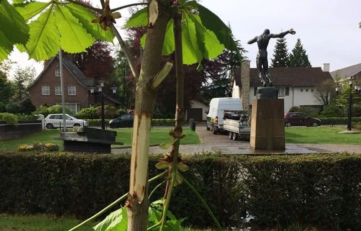 31739965 1997138113937365 9102064301941719040 n