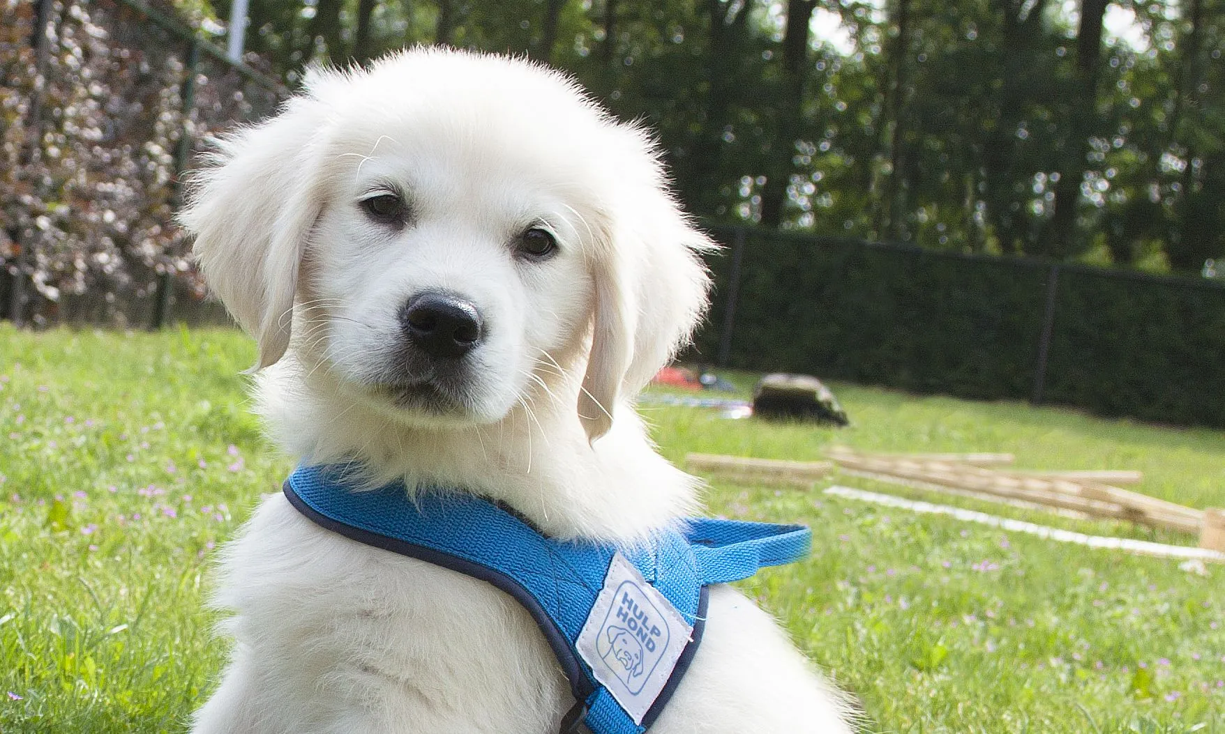 3187 853ec8515ecfcf1ca535a12974de7cc0