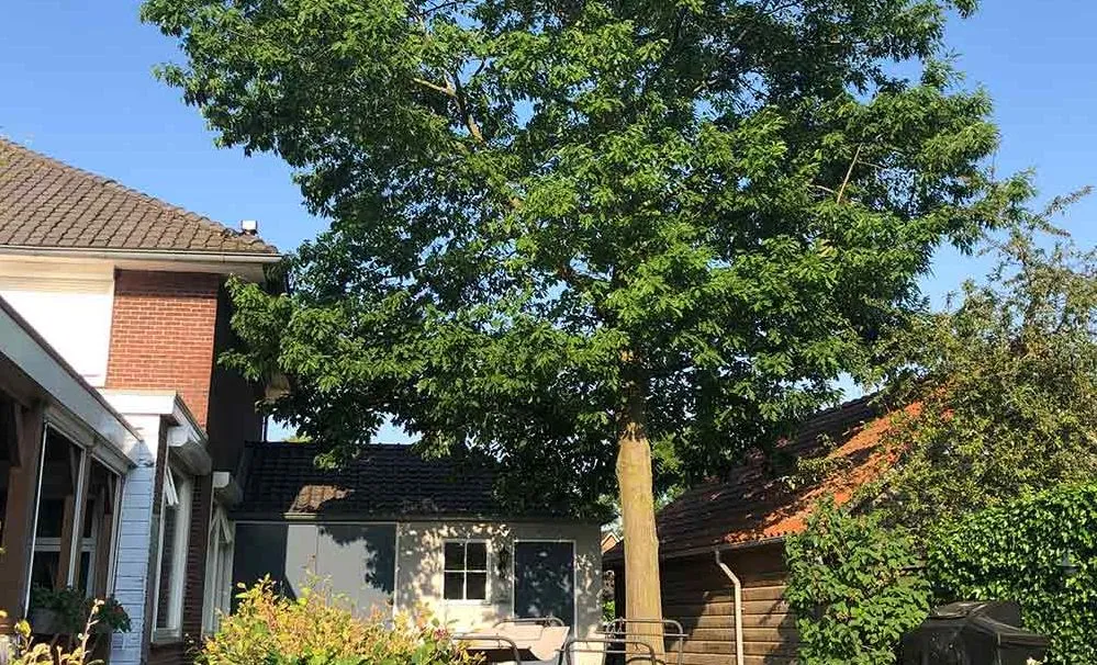 347388549 639392294886715 5917144237376595208 n