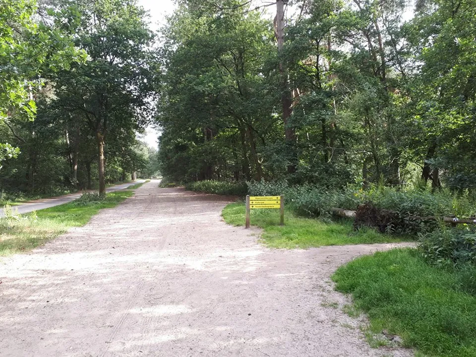 35240202 221640028438608 8224267059308003328 n