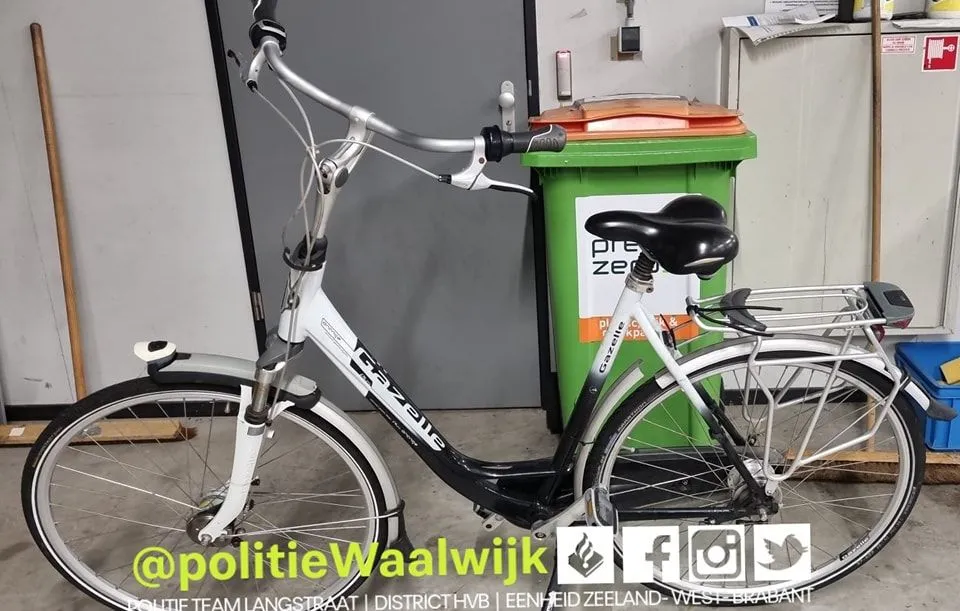 366728088 686190493542173 8182834021352720034 n