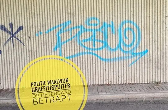 366741346 690082406486315 7610422388761809136 n