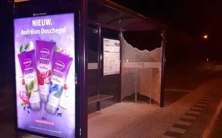 37414077 249371488998795 2226786723017261056 n