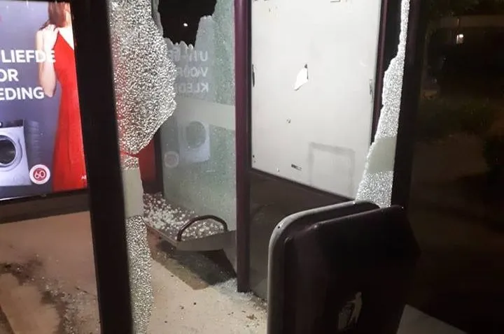 38125781 1615910221871144 139242345815080960 n