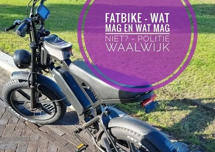 391627632 727461546081734 2598232061926822071 n