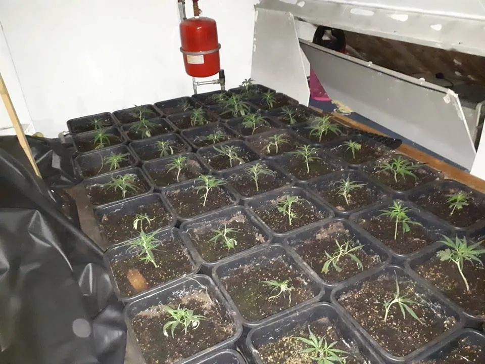 39220762 272264336709510 1233778163784351744 n