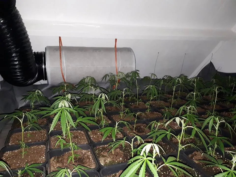 40446516 282677355668208 6725762461611327488 n