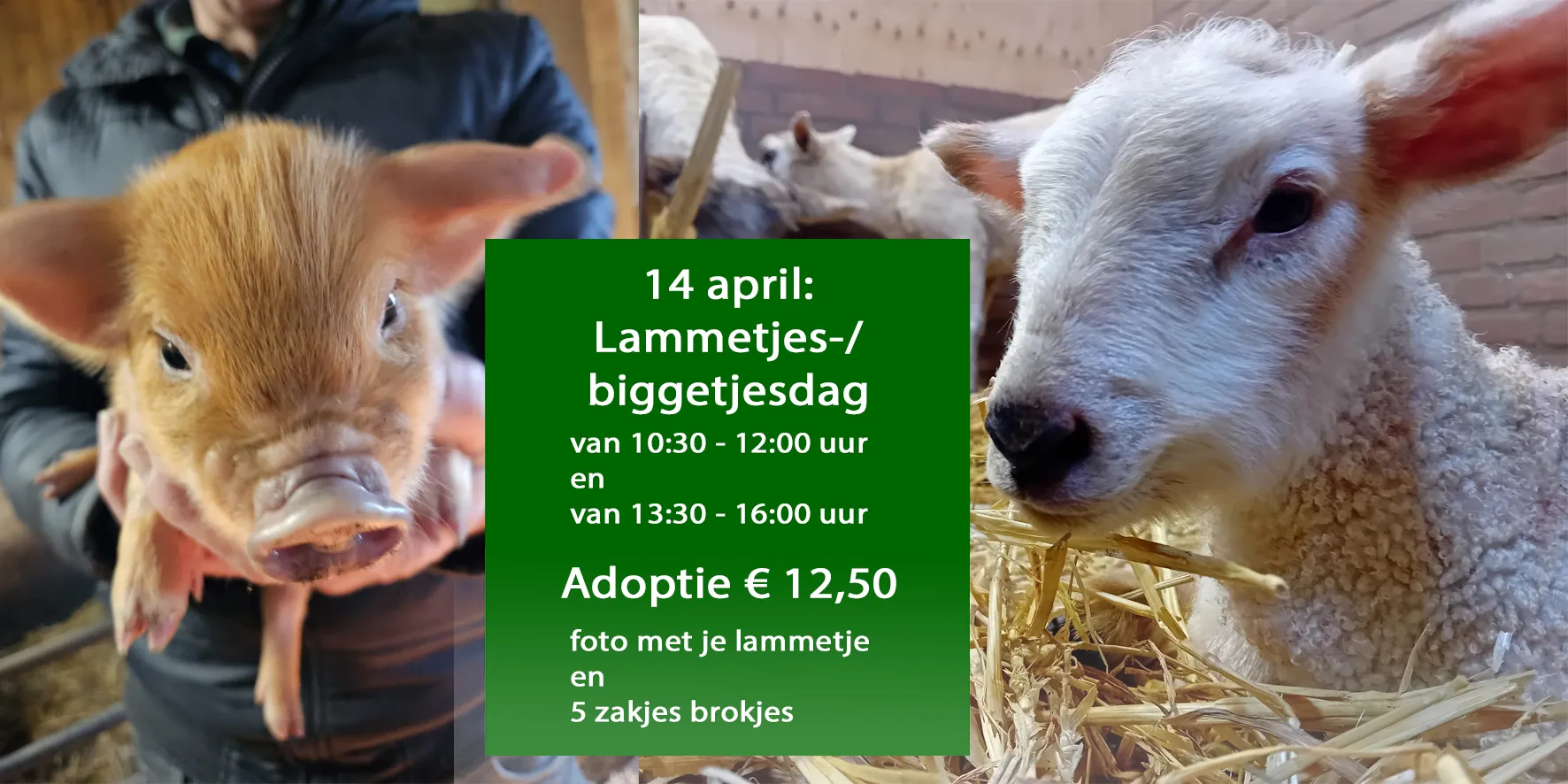 433949978 903405034920222 2913745237417003051 n