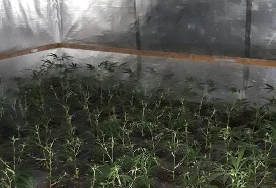 44838495 301495850453025 531759381226717184 na