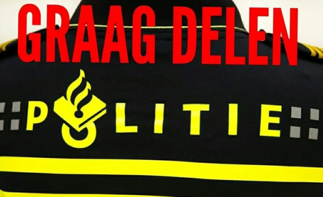 46329049 309672119635398 2591681539553099776 o1