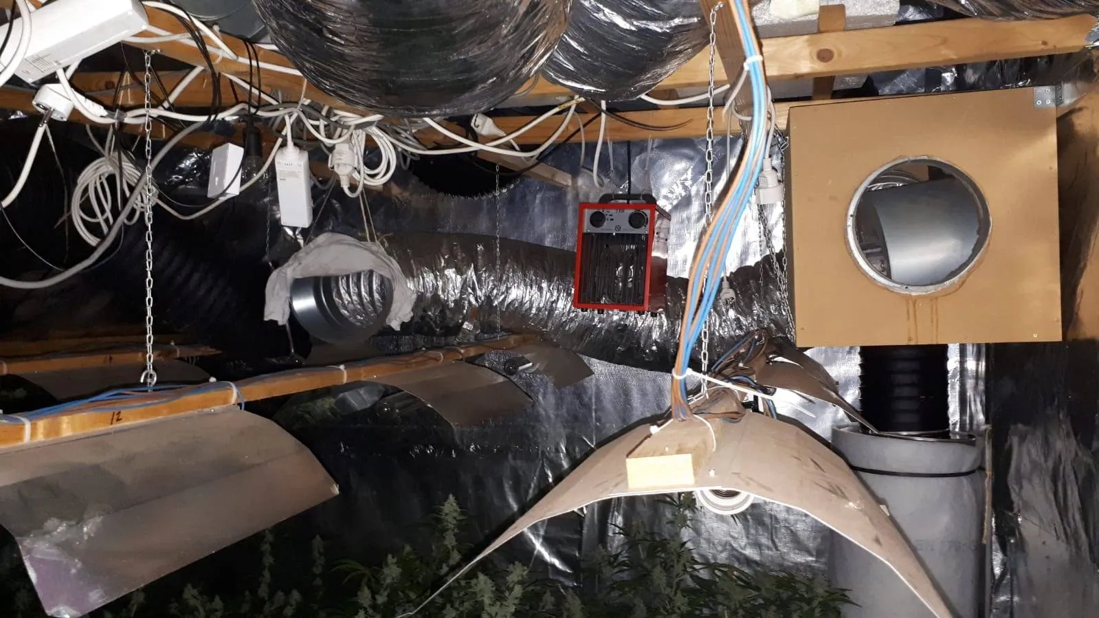 49319514 335712940364649 2336849305836453888 o