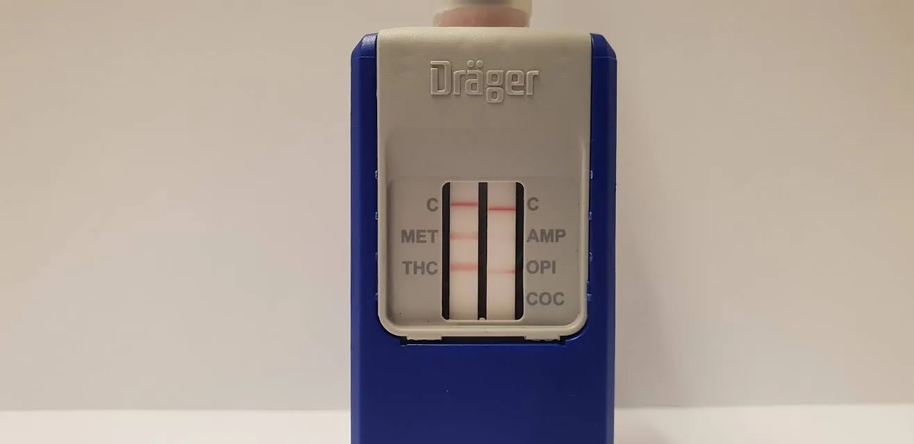 49792279 330016050934338 2766222812824731648 o