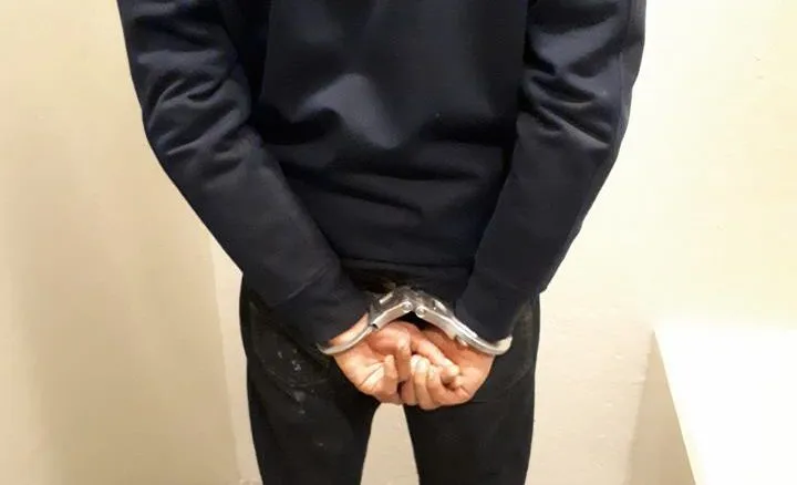 53022117 1923237934471703 3478985700886446080 n