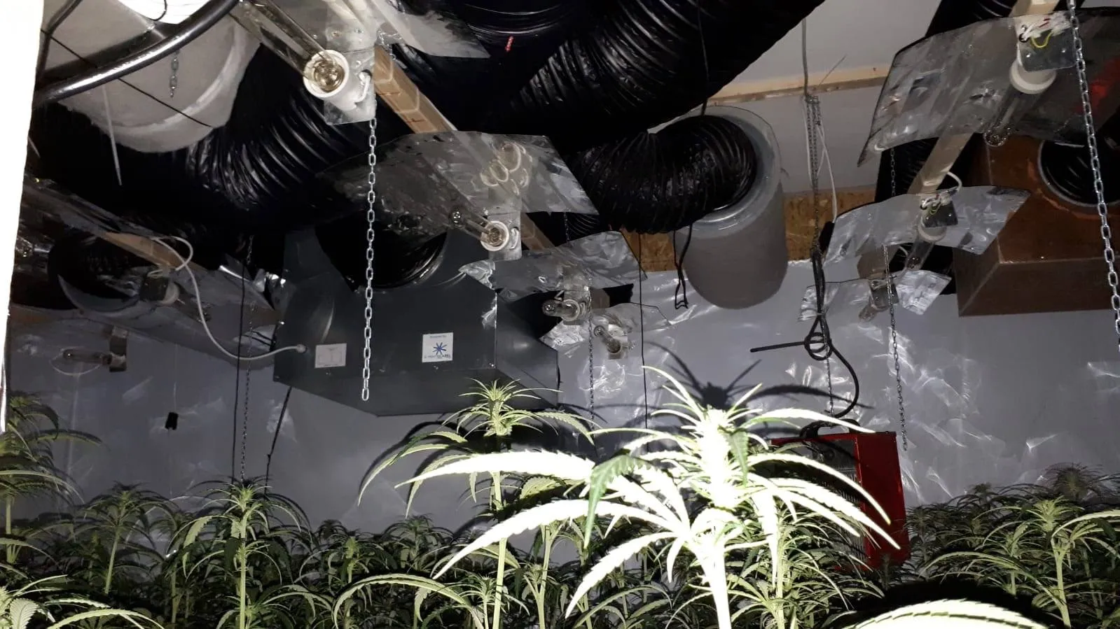 54257047 358046168131326 432473927915143168 o