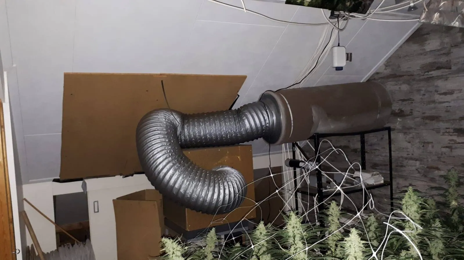 57024061 372764456659497 6870051767661363200 o