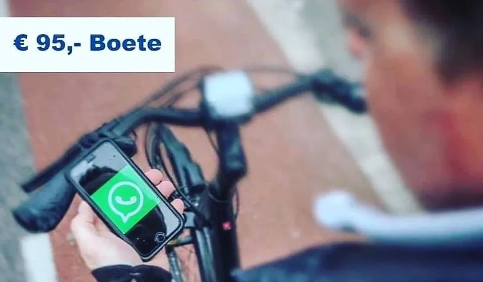 61647786 1535307183271341 5604445727255166976 n