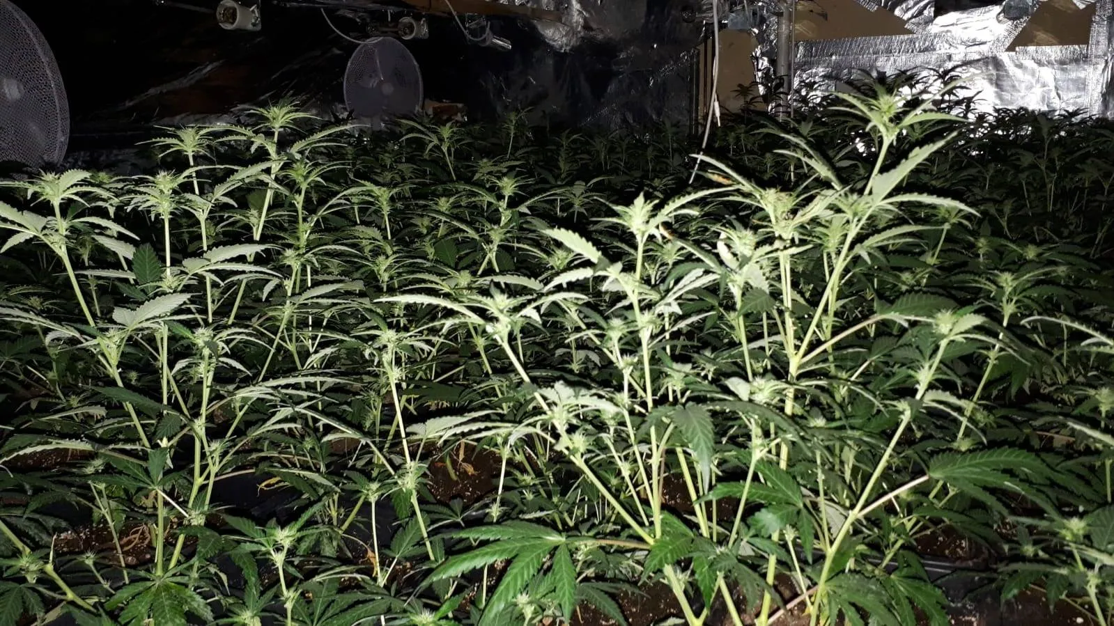 62131714 396600507609225 8019242036609679360 o