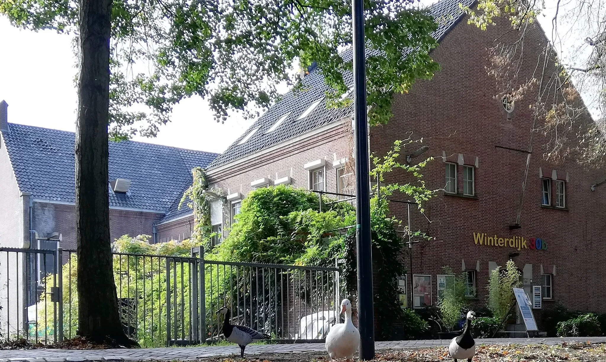 64676968 2378456078843741 6307573775311306752 o