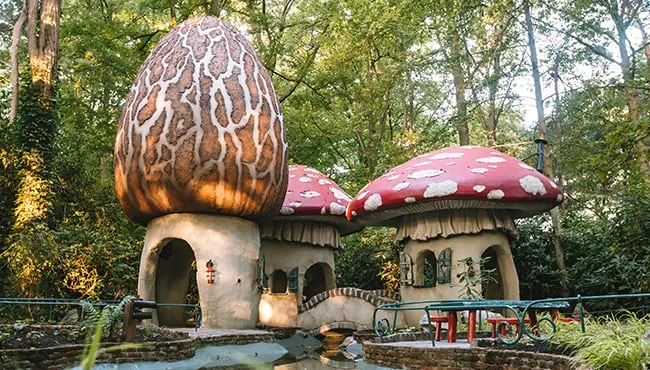 650x370 paddenstoelendorp overzicht