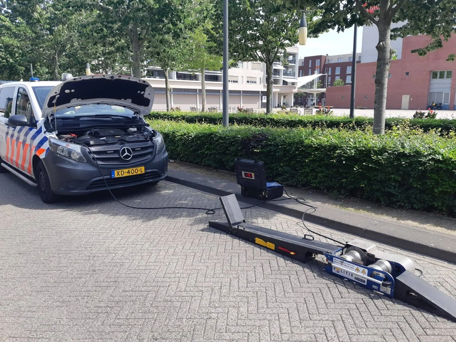 65564747 410326912903251 5788568183505944576 o