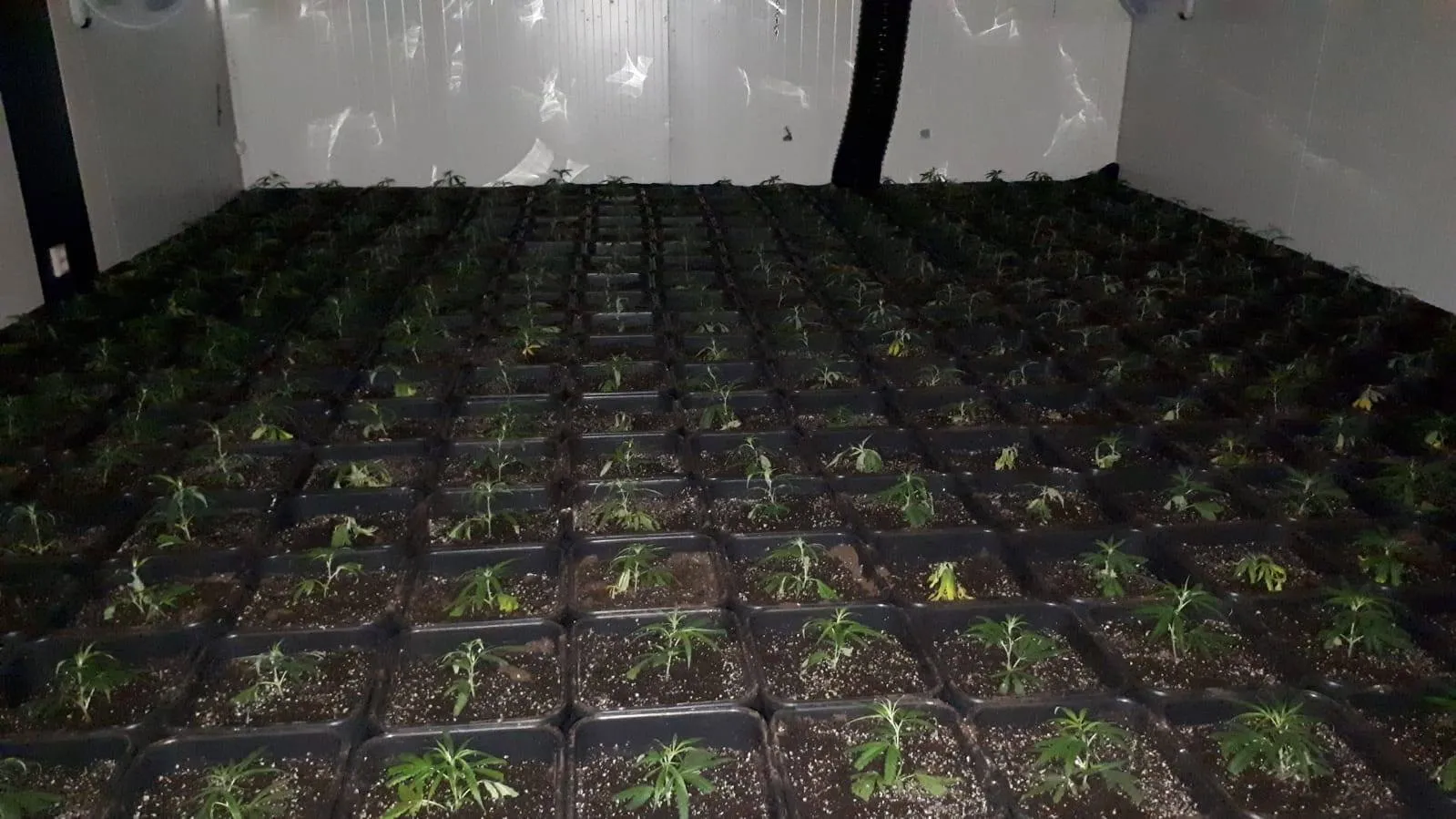 67303522 420572948545314 5938009530460798976 o