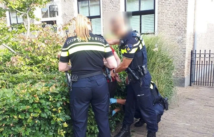 67639742 427223397880269 8299791177285107712 n